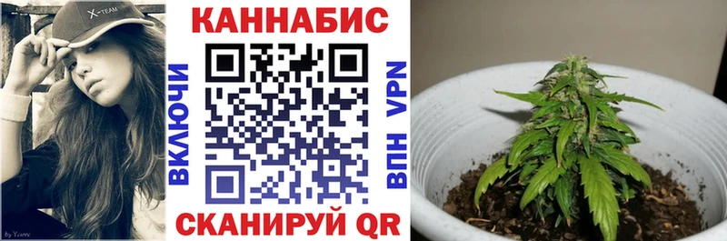 Каннабис план  Кукмор 